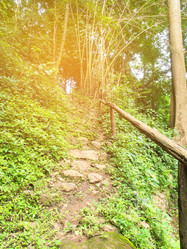 Similar image 8651262