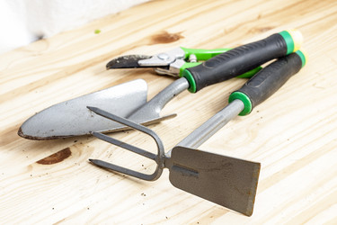 Similar image 8651264