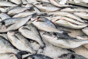 Similar image 8651332