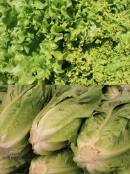 Similar image 8662021