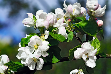 Similar image 8662023