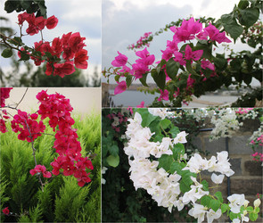 Similar image 8662178