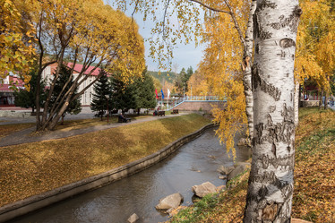 Similar image 8662804