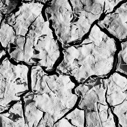 Similar image 8665257