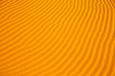 Similar image 8665451