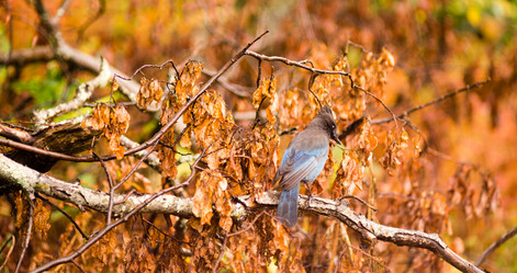 Similar image 8666033