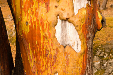 Similar image 8666047