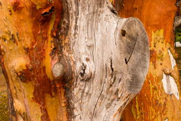 Similar image 8666050