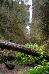 Similar image 8666169