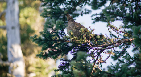 Similar image 8666859