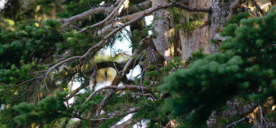 Similar image 8666861