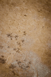 Similar image 8667100