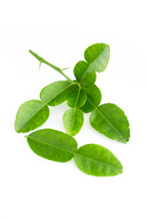 Similar image 8667102