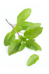 Similar image 8667103