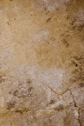 Similar image 8667243