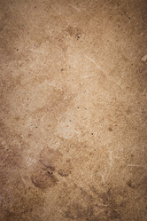 Similar image 8667255