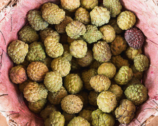 Similar image 8667442