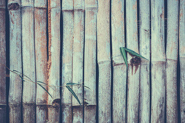 Similar image 8667452