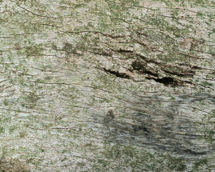 Similar image 8667575