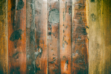 Similar image 8667577