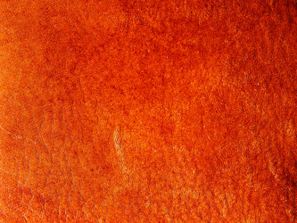 Similar image 8667995