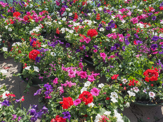 Similar image 8668123