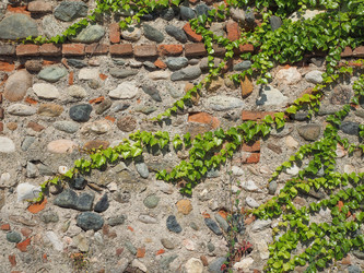 Similar image 8668128