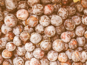 Similar image 8669495