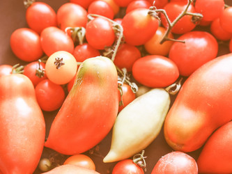 Similar image 8669504