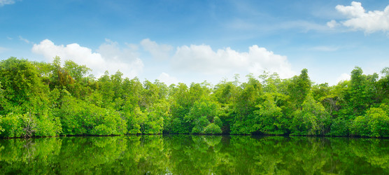 Similar image 8671525