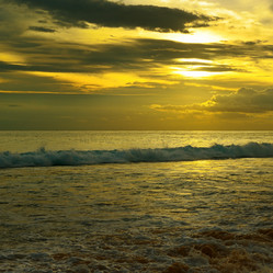 Similar image 8671530