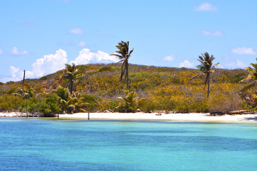 Similar image 8672076