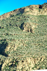 Similar image 8673740