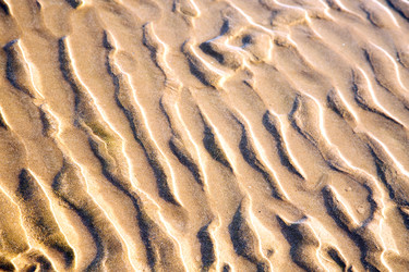 Similar image 8674402