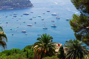 Similar image 8675253