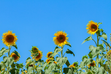 Similar image 8675319