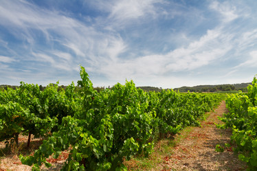 Similar image 8675324