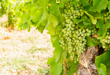 Similar image 8675326