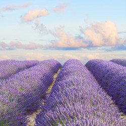 Similar image 8675331