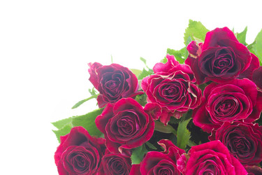 Similar image 8675338