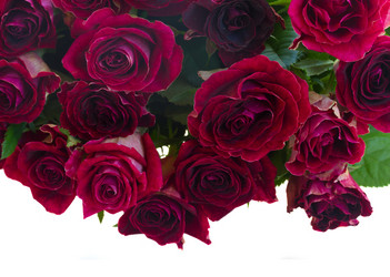 Similar image 8675341