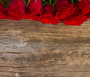 Similar image 8675345