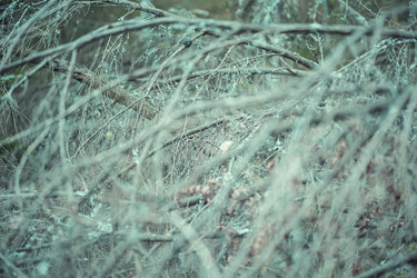 Similar image 8675377