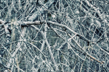 Similar image 8675379