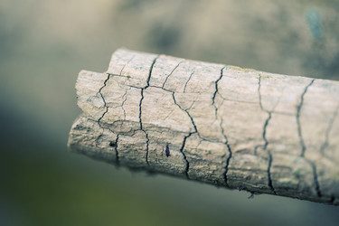 Similar image 8675381