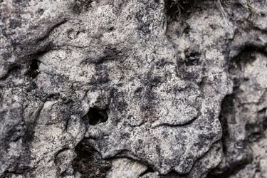 Similar image 8675386