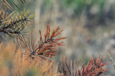 Similar image 8675397