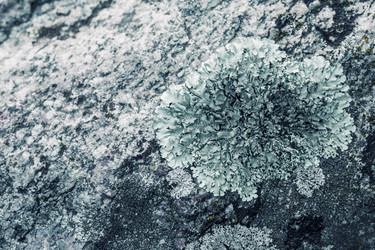 Similar image 8675402