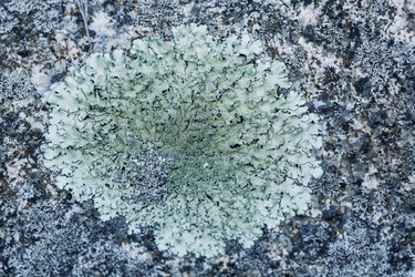 Similar image 8675404