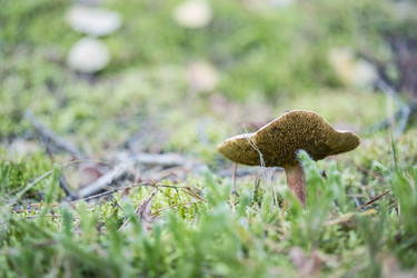 Similar image 8675406